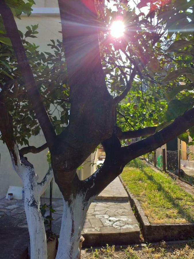 Villa Rosa Garden House Corfu  Ngoại thất bức ảnh