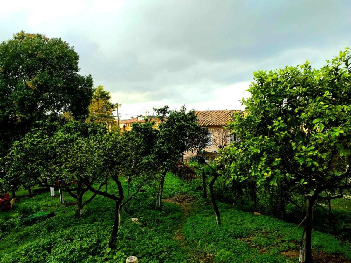 Villa Rosa Garden House Corfu  Ngoại thất bức ảnh